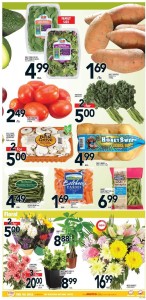 Metro Weekly Flyer 30 Jan 2016