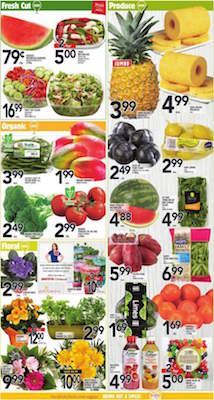 Metro Flyer 15 Aug 2016