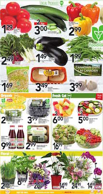 Metro Flyer 24 Aug 2016