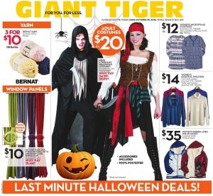Giant Tiger Flyer October 19 2016 Halloween Costumes