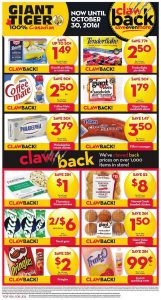 Giant Tiger Flyer October 5 2016