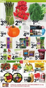 Metro Flyer October 17 2016 With Good Printable Coupons