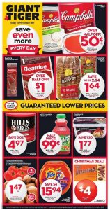 Giant Tiger Flyer November 2 2016