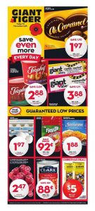 Giant Tiger Flyer November 9 2016