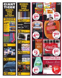 Giant Tiger Flyer December 21 2016 Boxing Week Sale