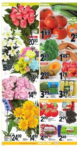 Metro Flyer April 6 2017