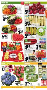 Metro Flyer May 17 2017