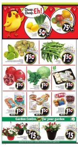FreshCo Flyer June 19 2017