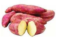 No Frills New Tastes Caribbean Sweet Potatoes , $0.97 /lb.