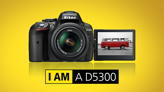 Nikon D5300 Best Buy Flyer