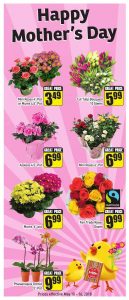 FreshCo Flyer Mothers Day Deals 11 May 2018