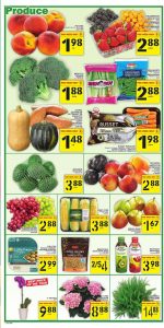 Food Basics Flyer Special Deals 17 Jun 2020