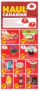 No Frills Flyer Special Offers 3 Jun 2022