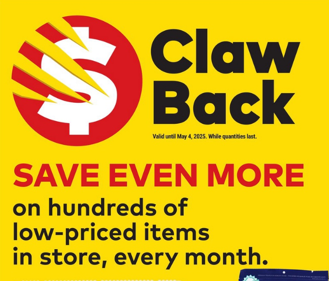 Giant Tiger Flyer Special Offers 13 April 2025