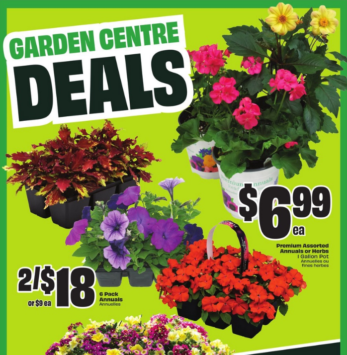 FreshCo Flyer Weekly Deals 26 May 2025