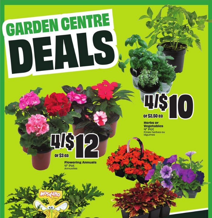 FreshCo Flyer Weekly Offers 19 May 2025