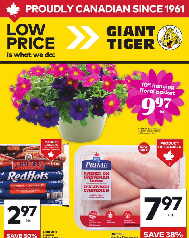 Giant Tiger Flyer Weekly Sales 8 May 2025
