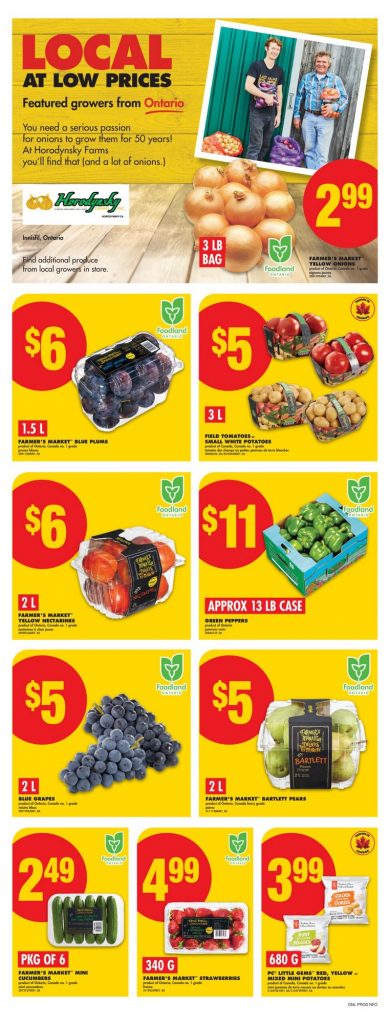 No Frills Flyer Weekly Deals 2025