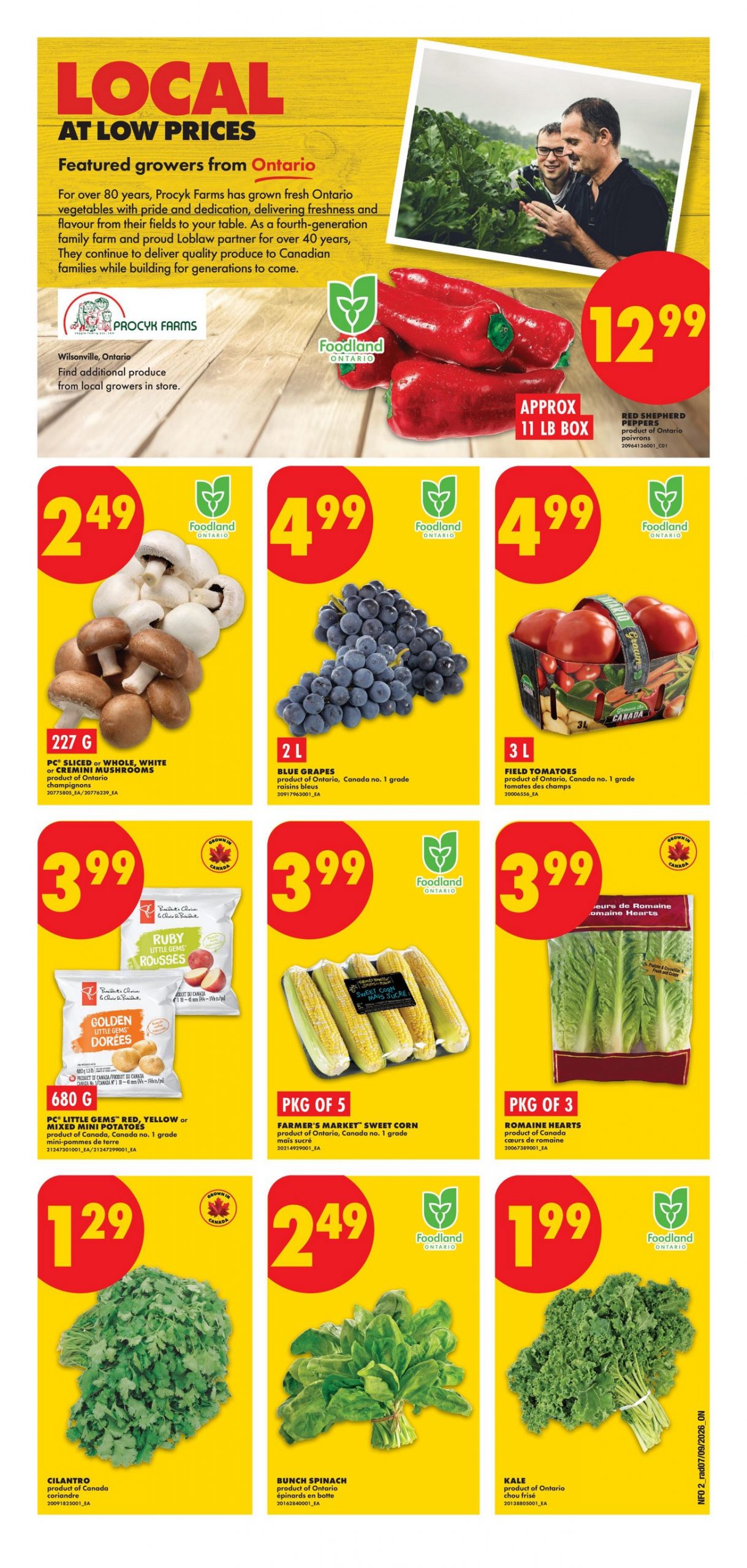 No Frills Flyer Weekly Deals 14 September 2026