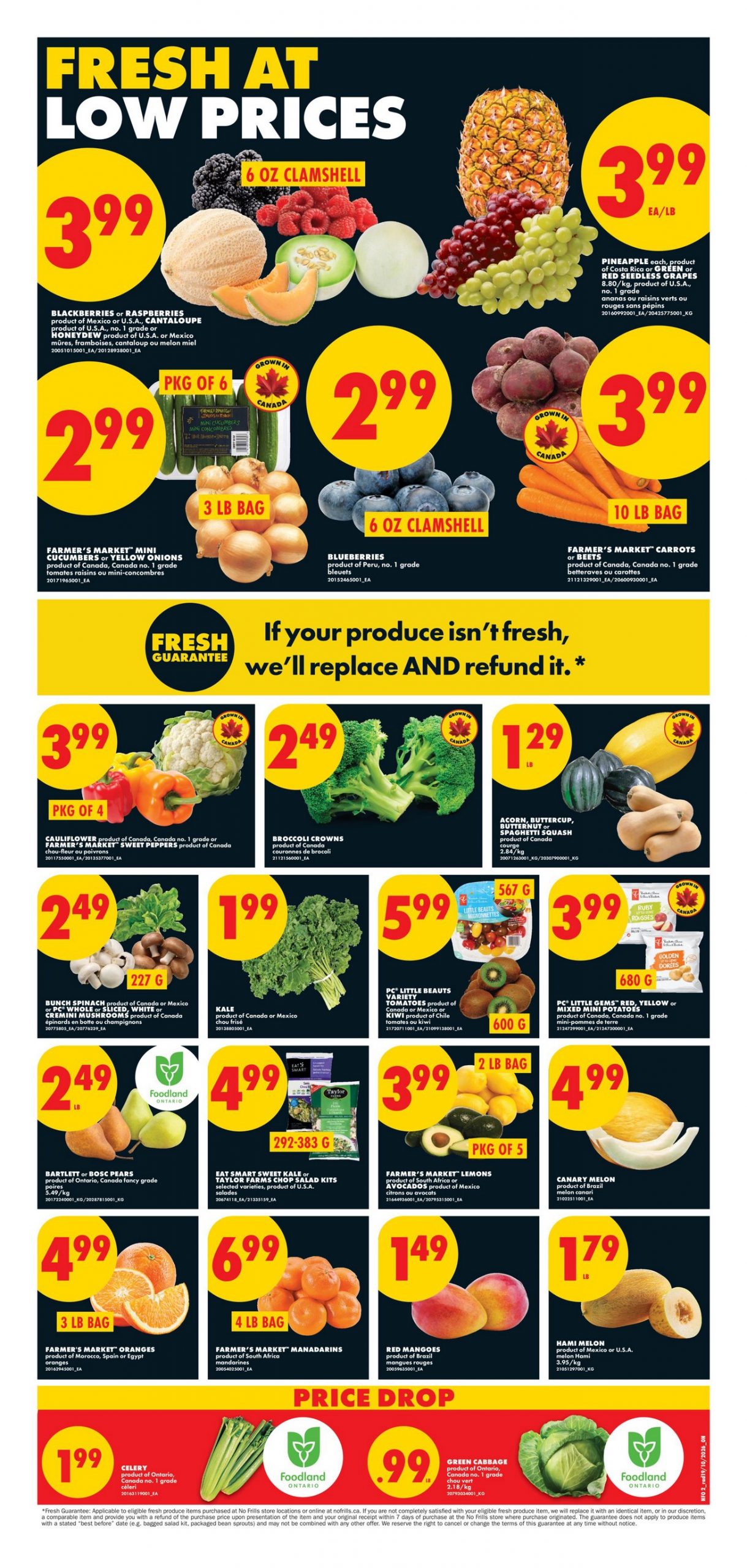 No Frills Ontario flyer October 22–28, 2026: blueberries, mini cucumbers, broccoli, squash and mushrooms